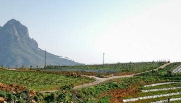 Camissa Farm